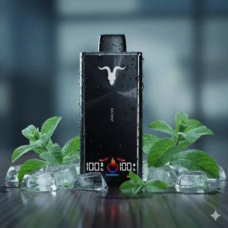 IGNITE V300 Water 30k Puffs