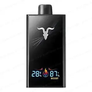 IGNITE V300 Water 30k Puffs