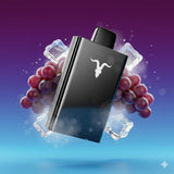 IGNITE V300 Water 30k Puffs